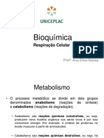 Bioquímica - Respiração Celular