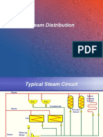 Steam Distribution - Dec 2006