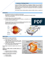 1. Anatomía oftalmológica