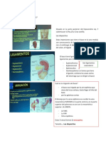 ESPLENECTOMIA