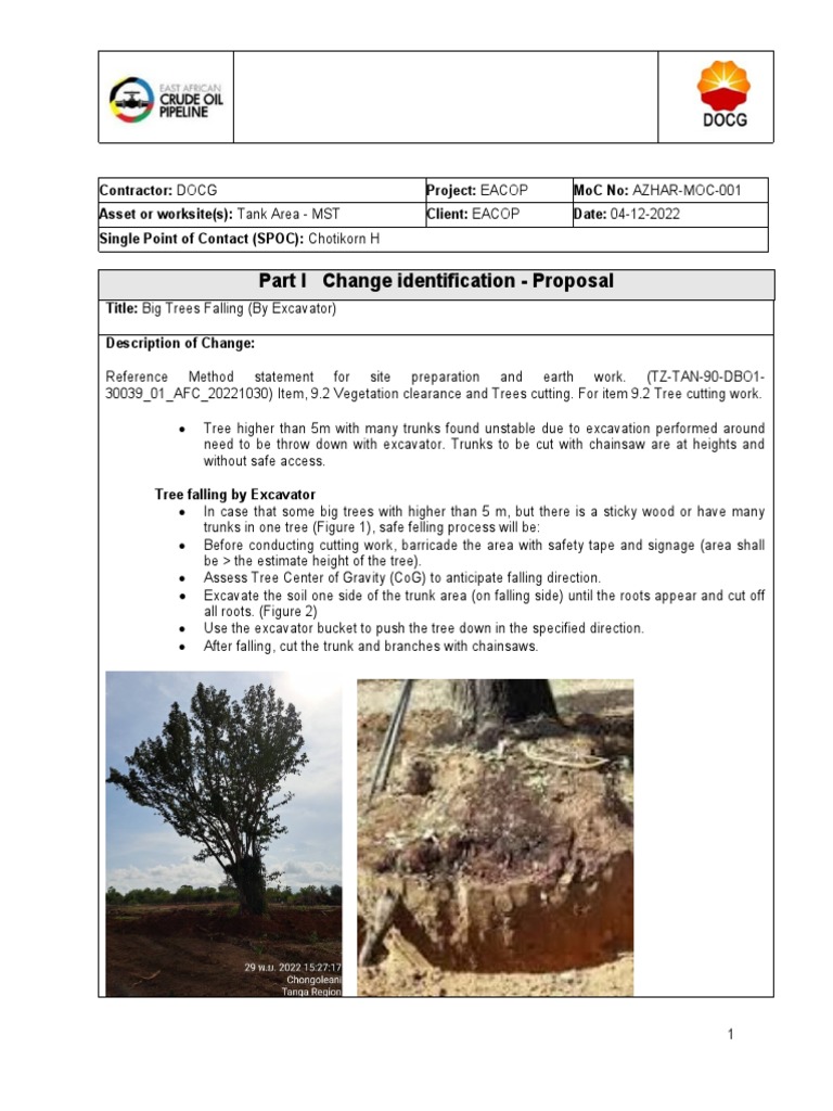 Tree Cutting Procedure Update | PDF | Trees