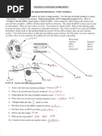 BA-BE Study Design and Protocol | PDF | Bioavailability | Pharmacokinetics