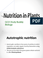 Plant Nutrition