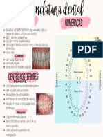 Nomenclatura e Numeração Dentes