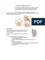 Aparato Respiratorio