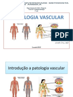 Introdução A Patologia Vascular