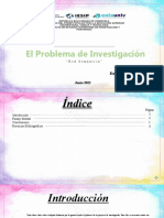 Red Semantica Problema de Investigación