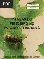 feijao pragas