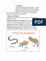 Información Sobre Los Anfibios