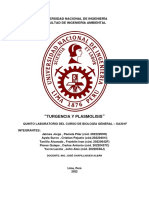 Plasmolisis y Turgencia (Grupo4)