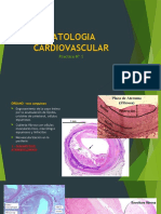 1ra Practica Patologia CV