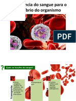 5A - Sangue e Equilíbrio Do Organismo