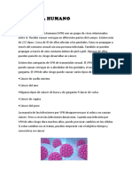 VPH: Causas, Tipos y Riesgos de Cáncer