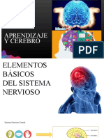 Aprendizaje y Cognicion - Aprendizaje y Cerebro