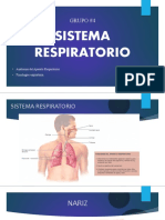 Sistema Respiratorio - Grupo 4