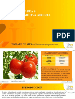 Horticultura Tarea - 6 - POA