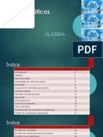 Algebra Basica