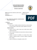 Informe Alcaloides NG, DV