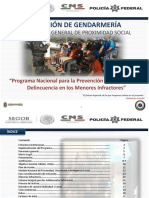 Programa Nacional para La Prevención de La Violencia y Delincuencia en Los Menores Infractores