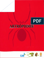 Artropodos Expo