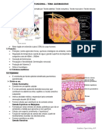 Aula 1 - Queimados PDF