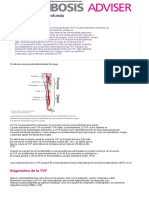 Trombosis Venosa Profunda: Diagnóstico de La TVP