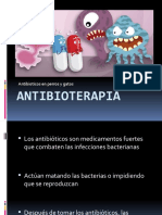 Antibiotioterapia 2