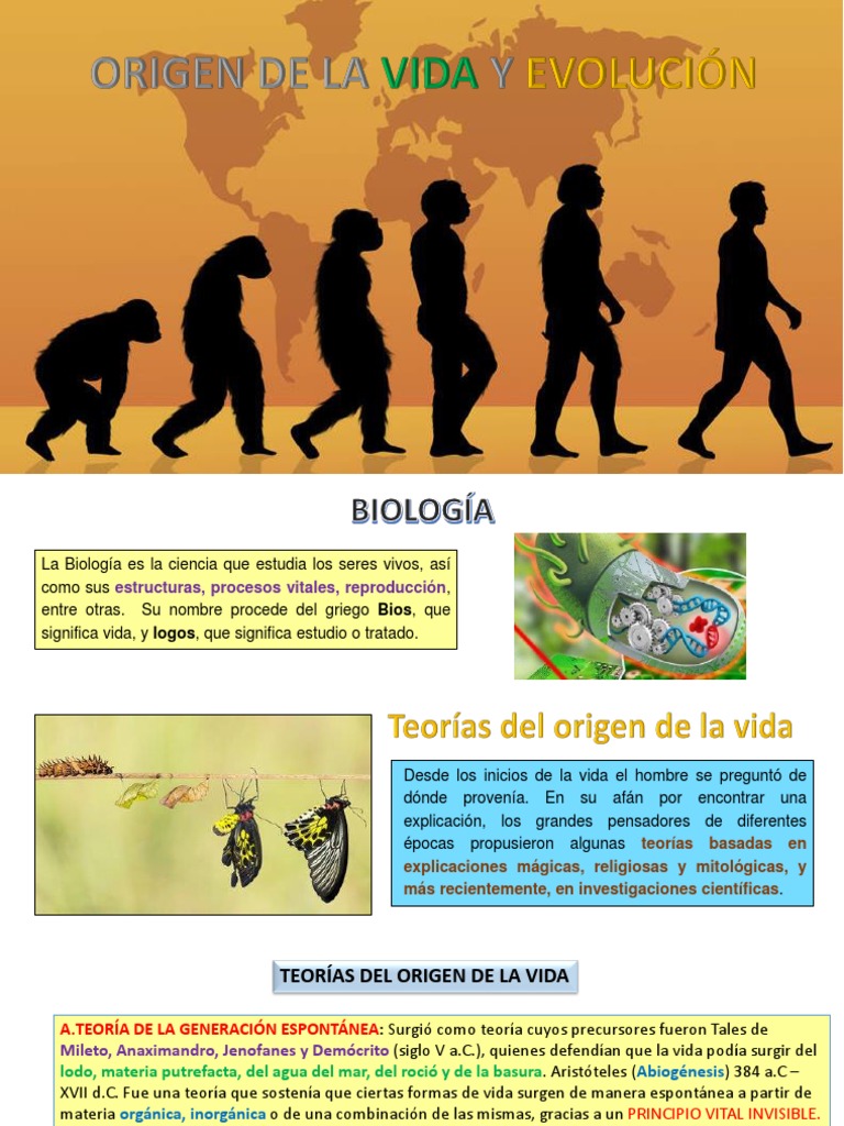 Teorías sobre el Origen de la Vida | PDF | Seleccion natural | Evolución