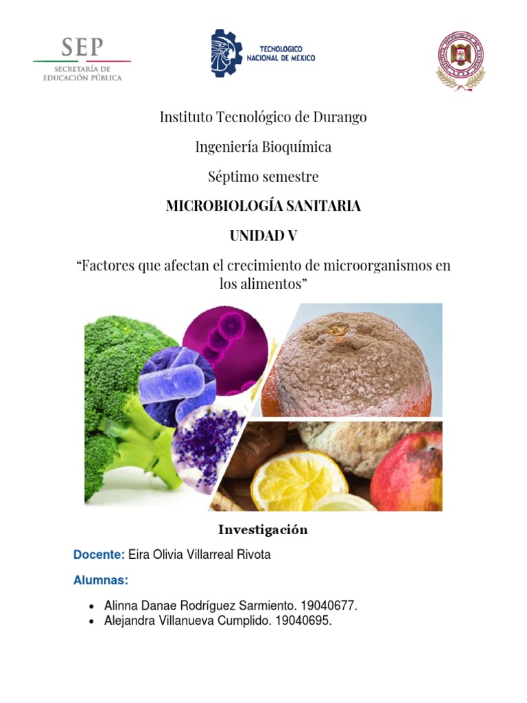 Investigación Microorganismos en Alimentos | PDF | Microorganismo | Las ...