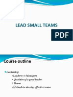 2 Lead Small Team