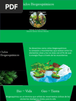 Zonas Biogeográficas Del Mundo | PDF | Organismos | Entorno natural