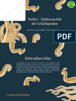 Elaboración de Cefalópodos