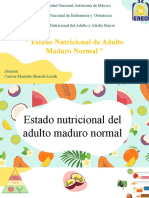 Estado de Nutrición en El Paciente Adulto Maduro