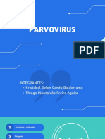 PARVOVIRUS 