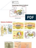 Clase 8 CB-108 2022