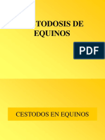 CESTODOS EN EQUINOS Dxtudiantes