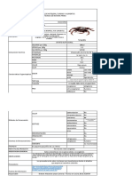 Formato Ficha Técnica Centollo