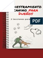 Adiestramiento Canino para Dueños