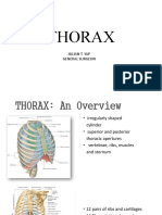 Overview of The Thorax
