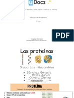Estructura de Las Proteinas 313495 Downloable 1293778