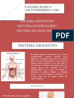 Modulo de Anatomia 3