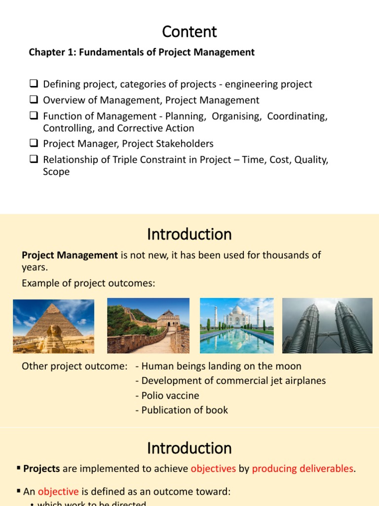 Fundamentals of project management pdf project management product