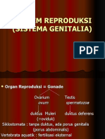 Sistem Genetalia