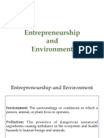 Entrepreneurship and Environment