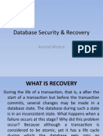 Database Security & Recovery