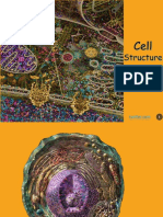 Cell Structure