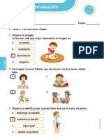 Autoevaluación Unidad 1 - Funciones Vitales en El Ser Humano Respuesta