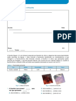 Fluorite - Propriedades e Identificação