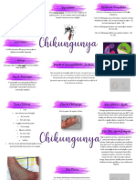 Febre de Chikungunya: sintomas, tratamento e prevenção