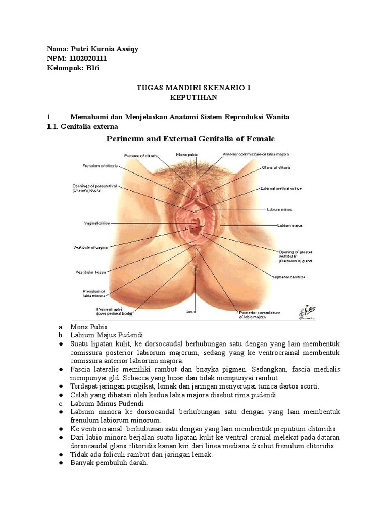 Svingerlar baliq ovlash